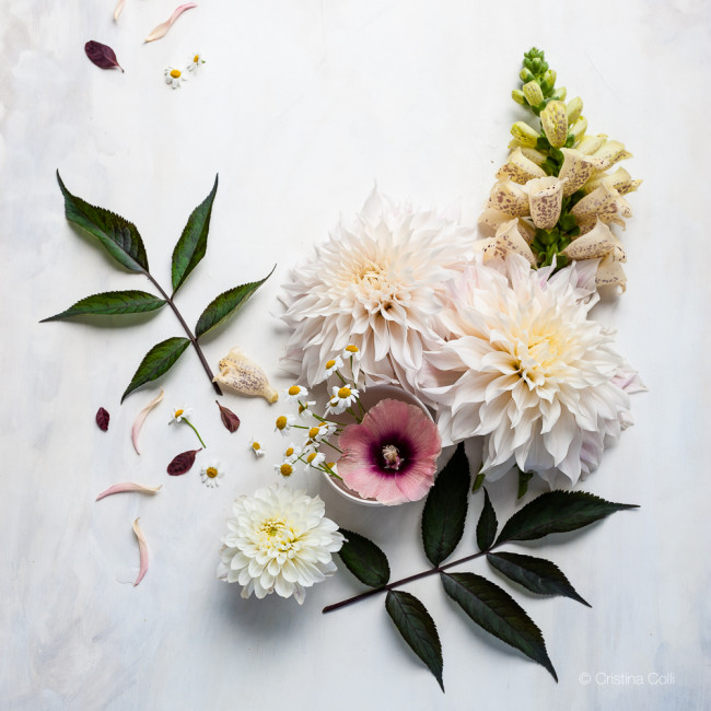 styling and floral photography © Cristina Colli