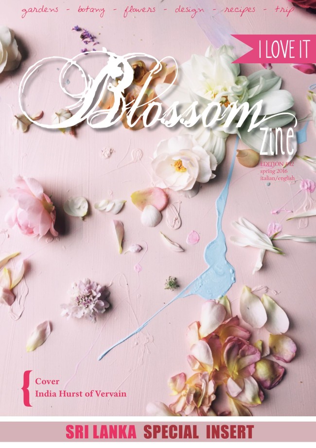 Blossom zine Spring 12 2016 COVER BH