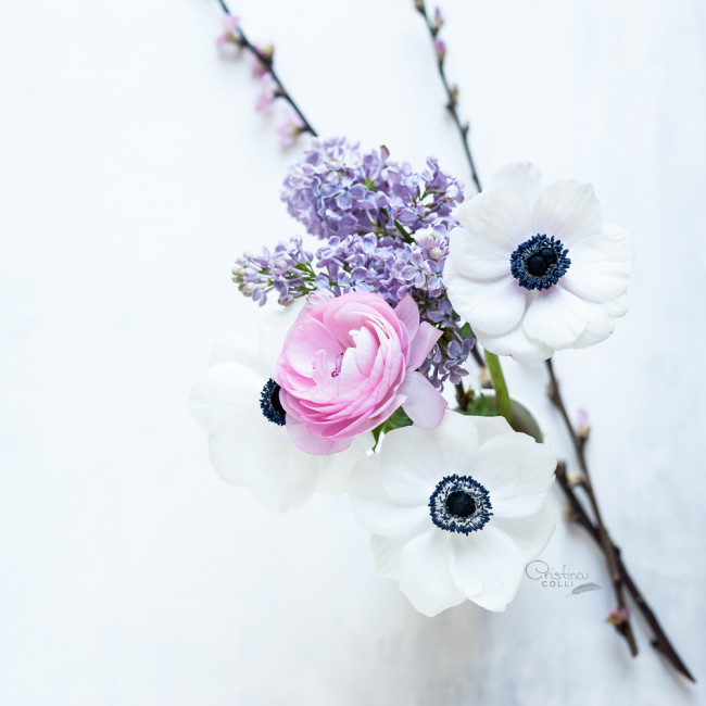 anemones_blossom_ranunculus_001