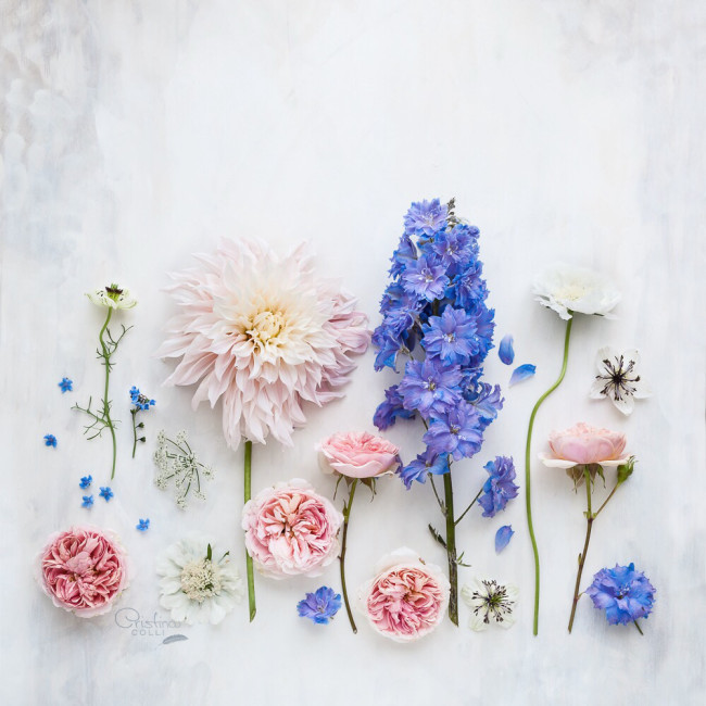 Flatlay_001